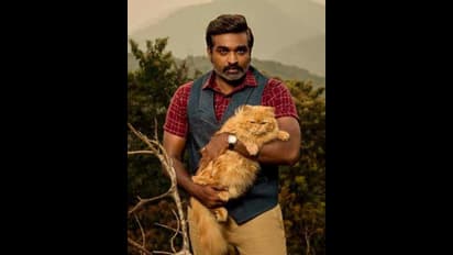 பாலிவுட்டில் விஜய் சேதுபதியின் அறிமுக படத்துக்கு ஆப்பு வச்ச கொரோனா - ரிலீஸ் பிளானை அதிரடியாக மாற்றிய படக்குழு