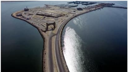 Fish island in Saudi Arabia: മത്സ്യചന്തയ്ക്കായി മാത്രം ദ്വീപ് നിര്മിച്ച് സൗദി അറേബ്യ