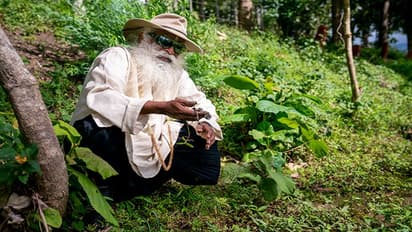 Republic day पर सद्गुरु ने दिया Save Soil का संदेश, मिट्‌टी की गुणवत्ता बचाने दुनिया भर में चलाएंगे आंदोलन