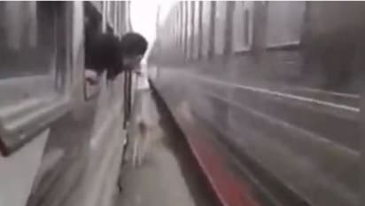 जाको राखे साईंया.. : जब दो ट्रेनों के बीच में फंस गया घोड़ा, जान बचाने के लिए सरपट भागा, जानिए फिर क्या हुआ