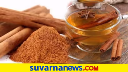 Cinnamon Health Benefits: ಮಕ್ಕಳಾಗುತ್ತಿಲ್ಲ ಎಂಬ ಚಿಂತೆಯೇ ? ದಾಲ್ಚಿನ್ನಿ ತಿಂದು ನೋಡಿ