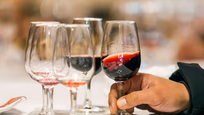 Wine Day 2022: Here's a guide to understanding different types of wine