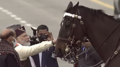 Farewell Of Virat: অবসরে রাষ্ট্রপতির বডিগার্ড বিরাট, বিদায় জানালেন প্রধানমন্ত্রী মোদী