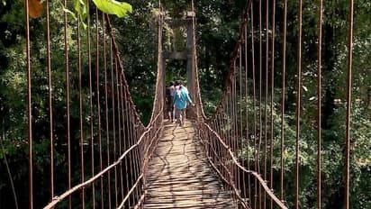 അക്കരെയെത്താൻ..! ദ്രവിച്ച് വീഴാറായ തൂക്കുപാലത്തിലൂടെ ഒരുനാടിന്റെ അതിസാഹസിക യാത്ര