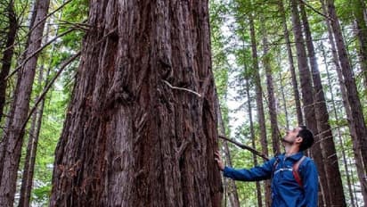 നൂറ്റാണ്ടുകൾക്ക് മുമ്പ് ബലമായി പുറത്താക്കി, ഭൂമിയുടെ ഉടമസ്ഥാവകാശം തിരികെ ഗോത്രവര്ഗക്കാര്ക്ക്