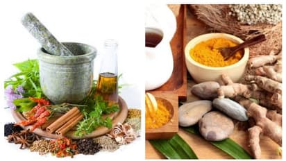 Home remedy recipes: சளி, இருமலுக்கு நம் தமிழர்களின் வீட்டு வைத்திய குறிப்புகள்...? டீ முதல் டிகாஷன் வரை...!