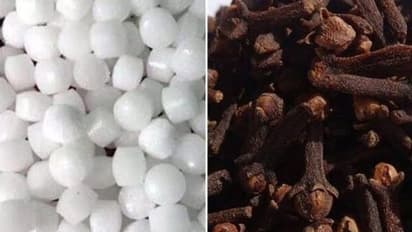 கற்பூரம் மற்றும் கிராம்புகளை இப்படி யூஸ் பண்ணுங்க.. அப்புறம் பாருங்க உங்க வீட்ல நடக்கிற மாற்றத்தை!!