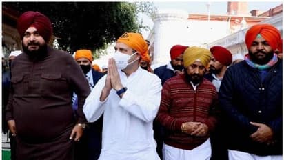 Punjab Election 2022 : പഞ്ചാബില് രാഹുല് ഗാന്ധിയുടെ പരിപാടിയില് പങ്കെടുക്കാതെ കോണ്ഗ്രസ് എംപിമാര്