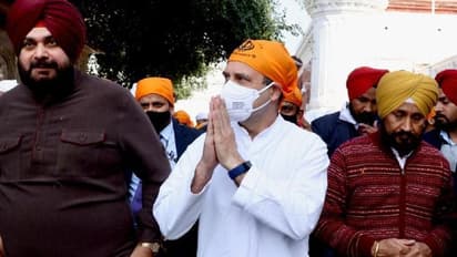 ১০-১৫ দিনে নেতা জন্মায় না, মুখ্যমন্ত্রী পদপ্রার্থী হিসাবে সিধুর নাম বাদ যেতেই দলের অবস্থান স্পষ্ট করলেন রাহুল