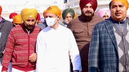 पंजाब चुनाव में खुद से ही लड़ रही कांग्रेस, चंद दिन में 14 नेता बागी, पार्टी के खिलाफ खोला मोर्चा, जानें प्लान