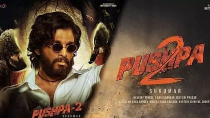 Pushpa Part 2 : ‘పుష్ప -2’ రిలీజ్ 2023 లోనే..., ఆ సమస్యలతోనే వాయిదా