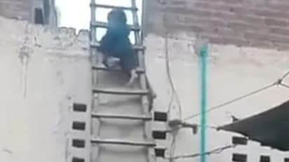 बच्चे के सीढ़ी से उतरने का अंदाज देख हैरान हुए लोग, यूजर्स ने कहा- इसे Dhoom-4 का चोर बनाओ