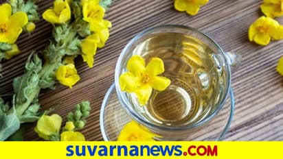 Mullein Tea: ನಿದ್ದೆ ಬರ್ತಿಲ್ವಾ ? ಜಸ್ಟ್ ಒಂದು ಕಪ್ ಸ್ಪೆಷಲ್ ಟೀ ಕುಡೀರಿ ಸಾಕು