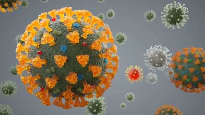 NeoCov: പുതിയ വൈറസ് 'നിയോകോവ്'; മുന്നറിയിപ്പുമായി വുഹാന്‍ ഗവേഷകര്‍