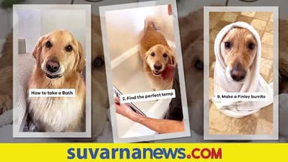 ಸ್ನಾನ ಮಾಡೋದು ಹೇಗೆ...  ನನ್ನ ನೋಡಿ ಕಲಿ ಅಂತಿದೆ ಈ ಶ್ವಾನ