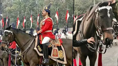 President’s Bodyguard Virat's service comes to an end; likely to be retained at Rashtrapati Bhawan