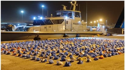 Drug Smuggling: ഒമാനില് വൻ മയക്കുമരുന്ന് വേട്ട; ബോട്ടില് കടത്താന് ശ്രമിച്ച 'ഖാത്ത്' പിടിച്ചെടുത്തു