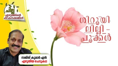 Malayalam Short Story : ശിറൂയി ലില്ലി പൂക്കള്, സജിത് കുമാര് എന് എഴുതിയ ചെറുകഥ