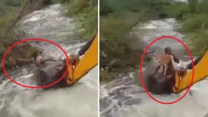 ഒഴുക്കില്‍ ജീവന്‍ പണയപ്പെടുത്തി നായയെ രക്ഷിക്കാനിറങ്ങി ഹോം ഗാര്‍ഡ്, വൈറലായി വീഡിയോ