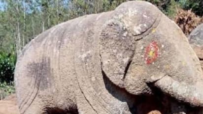 Sleeping elephant statue : ചരിഞ്ഞുറങ്ങുന്ന ആനയുടെ കൂറ്റൻപ്രതിമ, അപശകുനമെന്ന് നാട്ടുകാർ, സഹികെട്ട് നേരെവച്ചു
