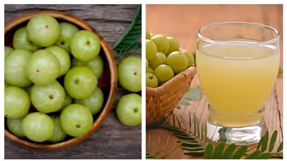 Immunity booster: இம்யூனிட்டியை அதிகரிக்கும் நெல்லிக்காய் ஜூஸ்..! நீரழிவு நோயாளிகளுக்கு பெஸ்ட்..!!