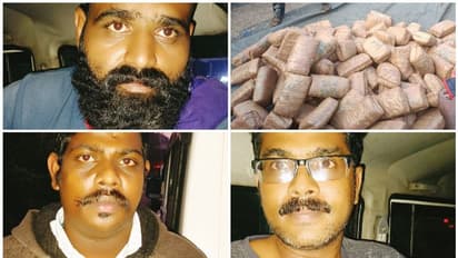 ലോറിയിൽ കടലാസ് കെട്ടുകൾക്കിടയിൽ ഒളിപ്പിച്ച് 450 കിലോ കഞ്ചാവ്; കൊടകരയിൽ 3 പേർ അറസ്റ്റിൽ