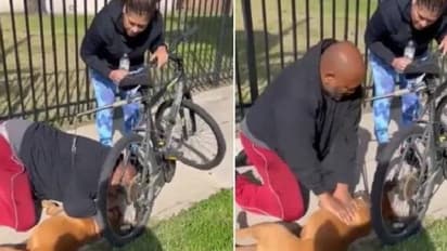 Man performs CPR on dog : കുഴഞ്ഞുവീണ നായയ്ക്ക് സിപിആര്, ജീവിതത്തിലേക്ക് തിരികെകൊണ്ടുവന്ന ഹീറോയ്ക്ക് അഭിനന്ദനം