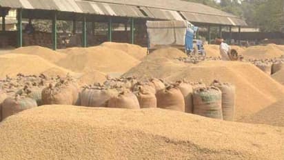 ஆன்லைன் முறையில் நெல் கொள்முதல்.. இணையவழி பதிவு குறித்து முக்கிய அறிவிப்பு..