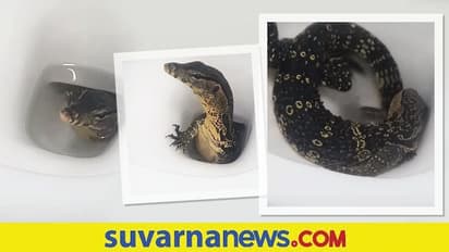 ಓಡಿ ಹೋಗಿ ಟಾಯ್ಲೆಟ್‌ನಲ್ಲಿ ಕೂರೋ ಮುನ್ನ ಎಚ್ಚರ.... ಇಲ್ಲೇನಿತ್ತು ನೋಡಿ