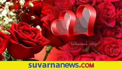 Rose Day: ಕೊಡುಕೊಳ್ಳುವ ಮುನ್ನ ಯಾವ ಬಣ್ಣದ ಗುಲಾಬಿಗೆ ಏನರ್ಥ ತಿಳಿಯಿರಿ