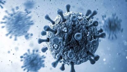 Explained: What is XE variant of Covid? What are the symptoms?