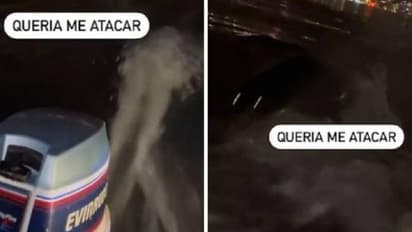 ബോട്ടിനുനേരെ കുതിച്ചുചാടി തിളങ്ങുന്ന കണ്ണുകളുള്ള ഒരു കടല്‍ജീവി, ജീവനുംകൊണ്ട് പാഞ്ഞ് മത്സ്യത്തൊഴിലാളി