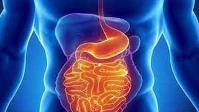 Constipation : തെെര് മലബന്ധം അകറ്റാൻ സഹായിക്കുമോ?