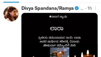 Dog Accident ಆಡಿ ಕಾರಿಗೆ ಬಲಿಯಾದ ಲಾರಾ ಶ್ವಾನಗೆ ಕಣ್ಣೀರಿನ ವಿದಾಯ, ಕಾನೂನು ಕಠಿಣವಾಗ್ಬೇಕು ಎಂದ ರಮ್ಯಾ