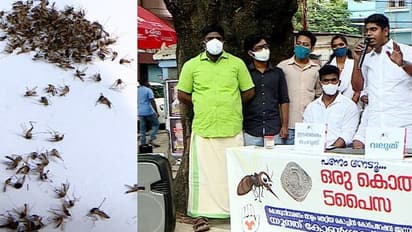 കൊതുകിനെ കൊന്ന് കൊണ്ട് വന്നാല് പ്രതിഫലം; യൂത്ത് കോണ്ഗ്രസ് സമരം