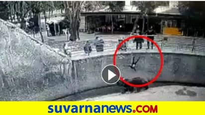 3 ವರ್ಷದ ಕಂದನನ್ನು ಝೂನಲ್ಲಿ ಕರಡಿ  ಇದ್ದ ಗೂಡಿಗೆ ಎಸೆದ ತಾಯಿ... ಕೃತ್ಯ ಕ್ಯಾಮರಾದಲ್ಲಿ ಸೆರೆ