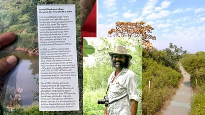 GOOD NEWS:अरावली जैव विविधता पार्क को मिली OECMs में जगह, 10 साल पहले यहां थीं खदानें; आज होती हैं रिसर्च