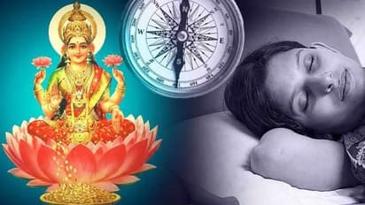 Vastu Tips: ಯಶಸ್ಸು - ಹಣಕ್ಕಾಗಿ ಈ ದಿಕ್ಕಲ್ಲಿ ನಿದ್ರಿಸಿ