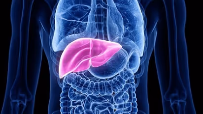 Liver Cancer : ഇക്കാര്യം ശ്രദ്ധിച്ചില്ലെങ്കിൽ കരൾ ക്യാൻസറിനുള്ള സാധ്യത കൂടുതൽ; പഠനം 
