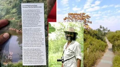 GOOD NEWS:अरावली जैव विविधता पार्क को मिली OECMs में जगह, 10 साल पहले यहां थीं खदानें; आज होती हैं रिसर्च