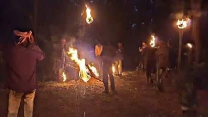 হাড় কাঁপানো ঠান্ডায় হাড় হিম করা অজানা আতঙ্ক, ক্ষতির মুখে গরীব চাষীরা, সরকারি সাহায্যের আর্জি