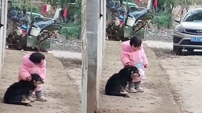 इस बच्चे की मासूमियत देख आप भी हो जाएंगे इमोशनल, पटाखों की आवाज से कुत्ते को इस तरह बचाया