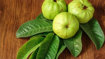 Guava leaves: This ancient beauty remedy can do wonders for your hair growth