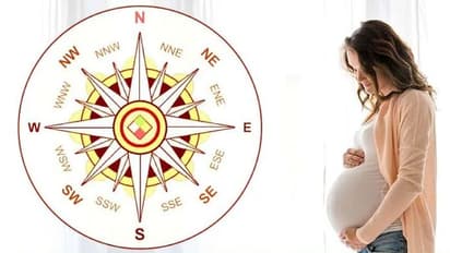 వాస్తు ప్రకారం.. గర్భిణీ స్త్రీలు ఏ రంగు దుస్తులు ధరించకూడదు..?