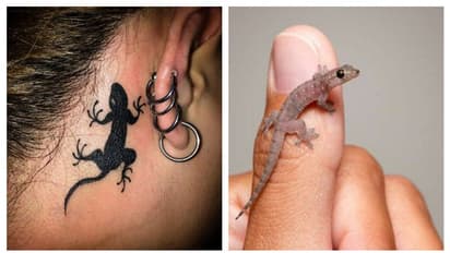 Lizard falling astrology: பல்லி நமது உடலில் விழுந்தால் தோஷம் வருமா..? பலன்களும், பரிகாரங்களும்...!!