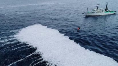 Dead Fish: ട്രോളര് വല പൊട്ടി, ഫ്രാന്സ് തീരത്ത് ചത്ത് പൊങ്ങിയത് ഒരു ലക്ഷം മത്സ്യം