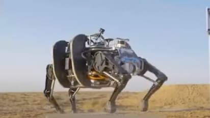 Military Robot : ವಿಶ್ವದ ಅತಿದೊಡ್ಡ ಸೇನಾ ರೋಬೋ ಅನಾವರಣ ಮಾಡಿದ ಚೀನಾ!