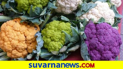 Varieties Of Cauliflower:  ಕಲರ್ ಕಲರ್ ಹೂಕೋಸು ನೋಡಿದ್ದೀರಾ ?