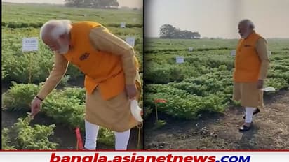 তোয়াক্কা নেই প্রোটোকলের, হায়দরাবাদ সফরকালে আচমকা গাড়ি থামিয়ে মাঠে নামলেন Modi মোদী, কী  ঘটল সেখানে