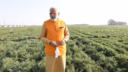 PM Modi tastes chana ಹೈದರಾಬಾದ್ ICRISAT ಭೇಟಿಯಲ್ಲಿ ಕಡಲೆ ಕಾಯಿ ಕೊಯ್ದು ರುಚಿ ನೋಡಿದ ಪ್ರಧಾನಿ ಮೋದಿ!